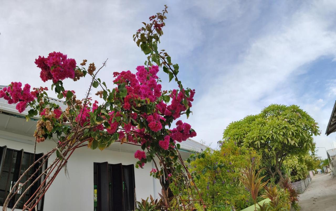La Isla Tropica Hotel Guraidhoo  Luaran gambar