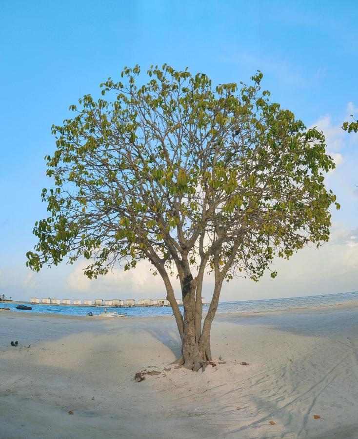 La Isla Tropica Hotel Guraidhoo  Luaran gambar