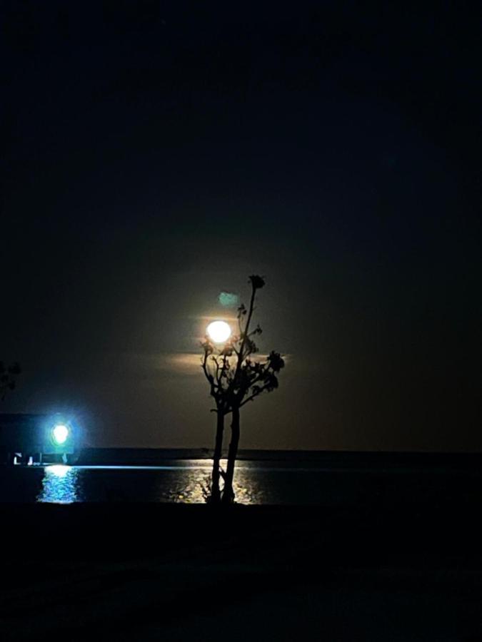 La Isla Tropica Hotel Guraidhoo  Luaran gambar