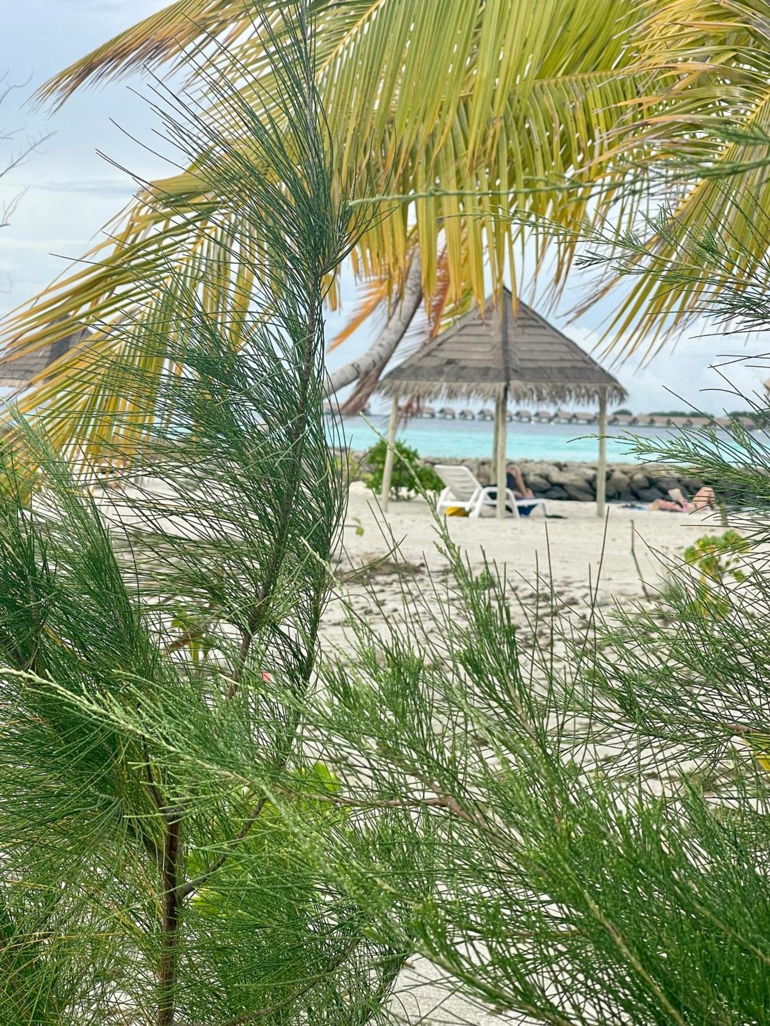 La Isla Tropica Hotel Guraidhoo  Luaran gambar